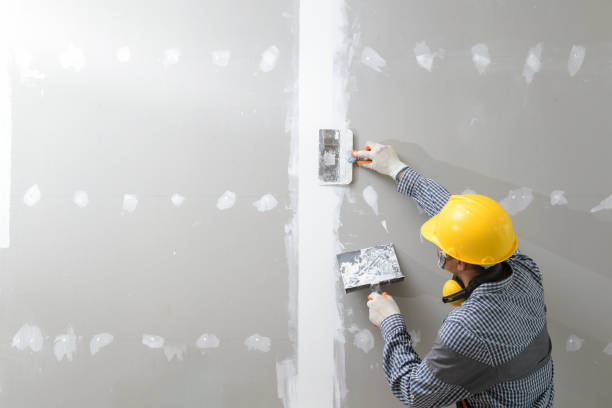 Best Mold Odor Removal Services  in Gaston, SC