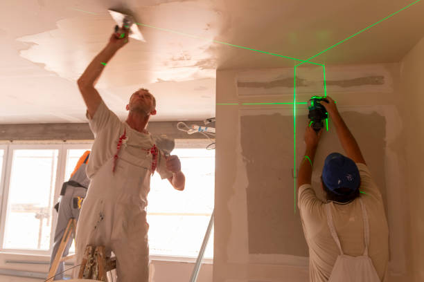 Best Attic Mold Removal  in Gaston, SC