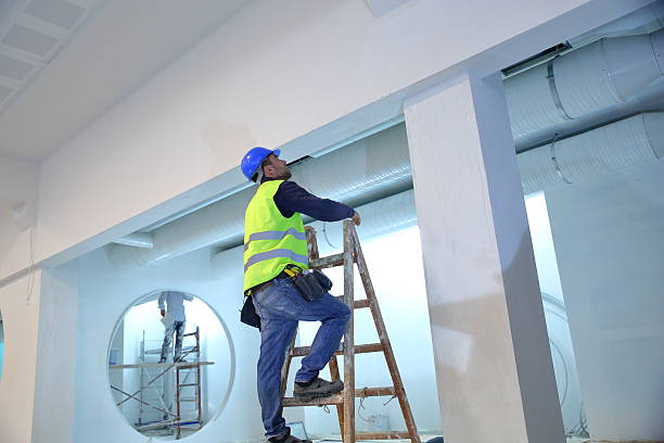 Best Mold Removal for HVAC Installations  in Gaston, SC