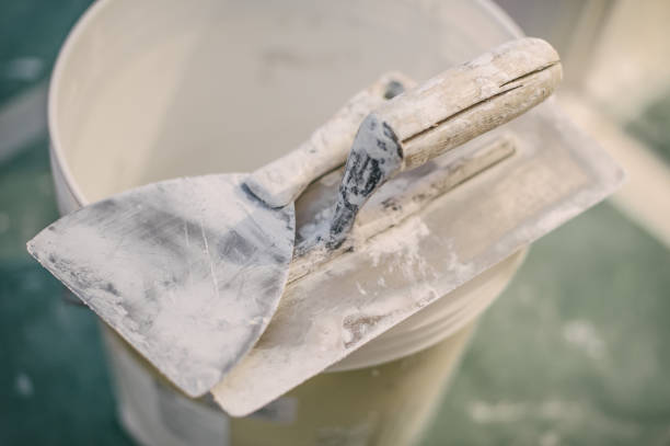 Best Asbestos and Lead Testing During Mold Inspection  in Gaston, SC