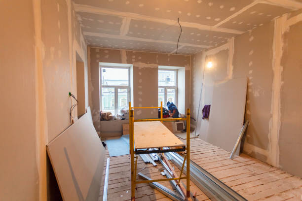 Best Black Mold Removal  in Gaston, SC