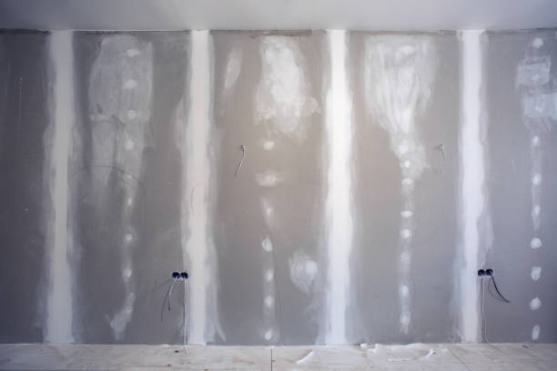 Mold Odor Removal Services in Gaston, SC